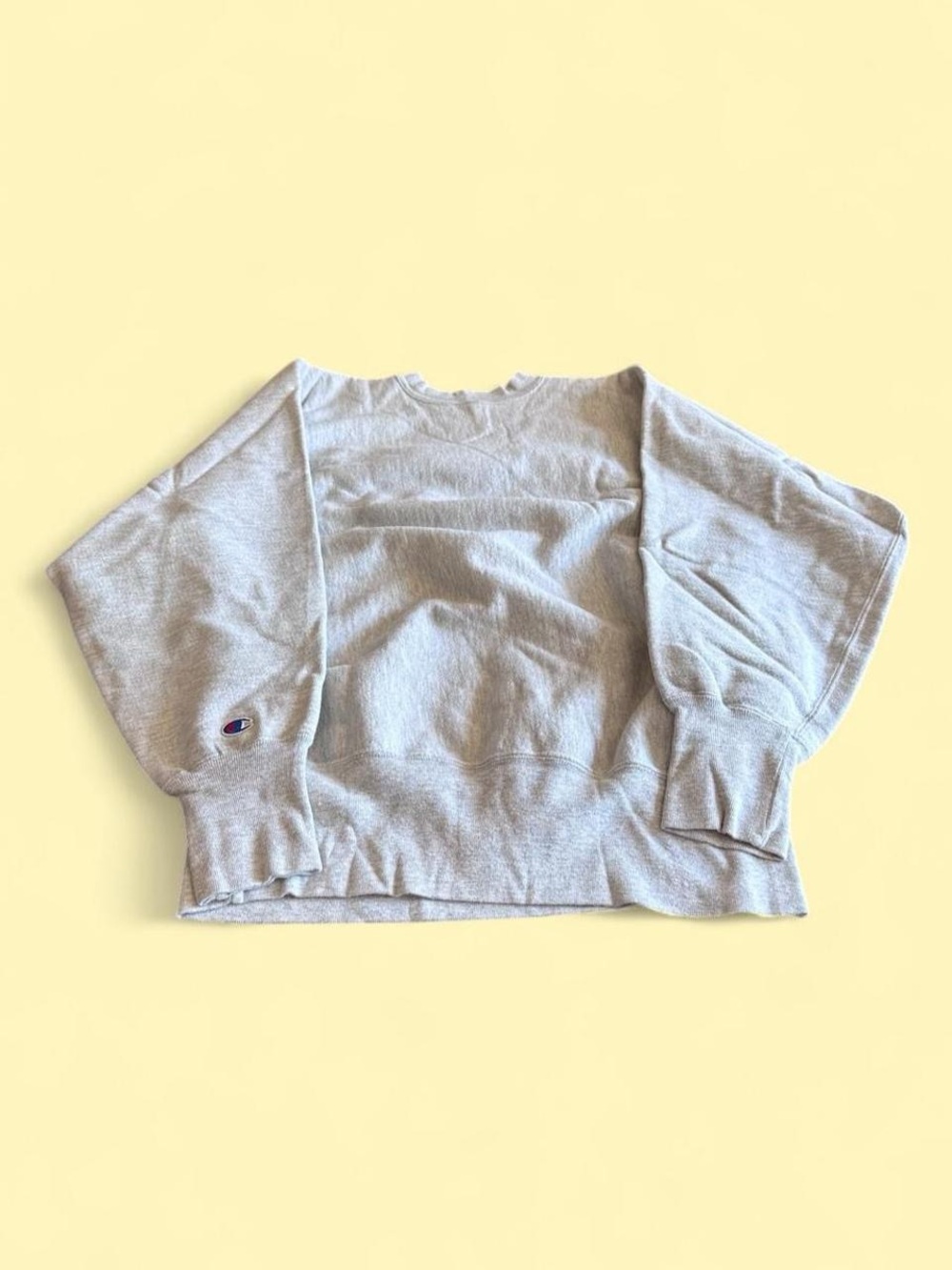 Vintage Champion Reverse Weave Delta Sigma Pi Sweatshirt USA Men’s Size XL - Picture 4 of 6